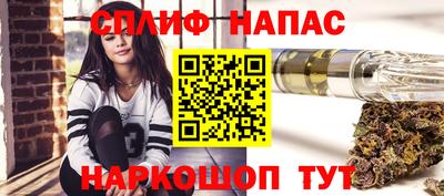 МДПВ Пенза