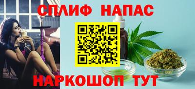 МДПВ Пенза